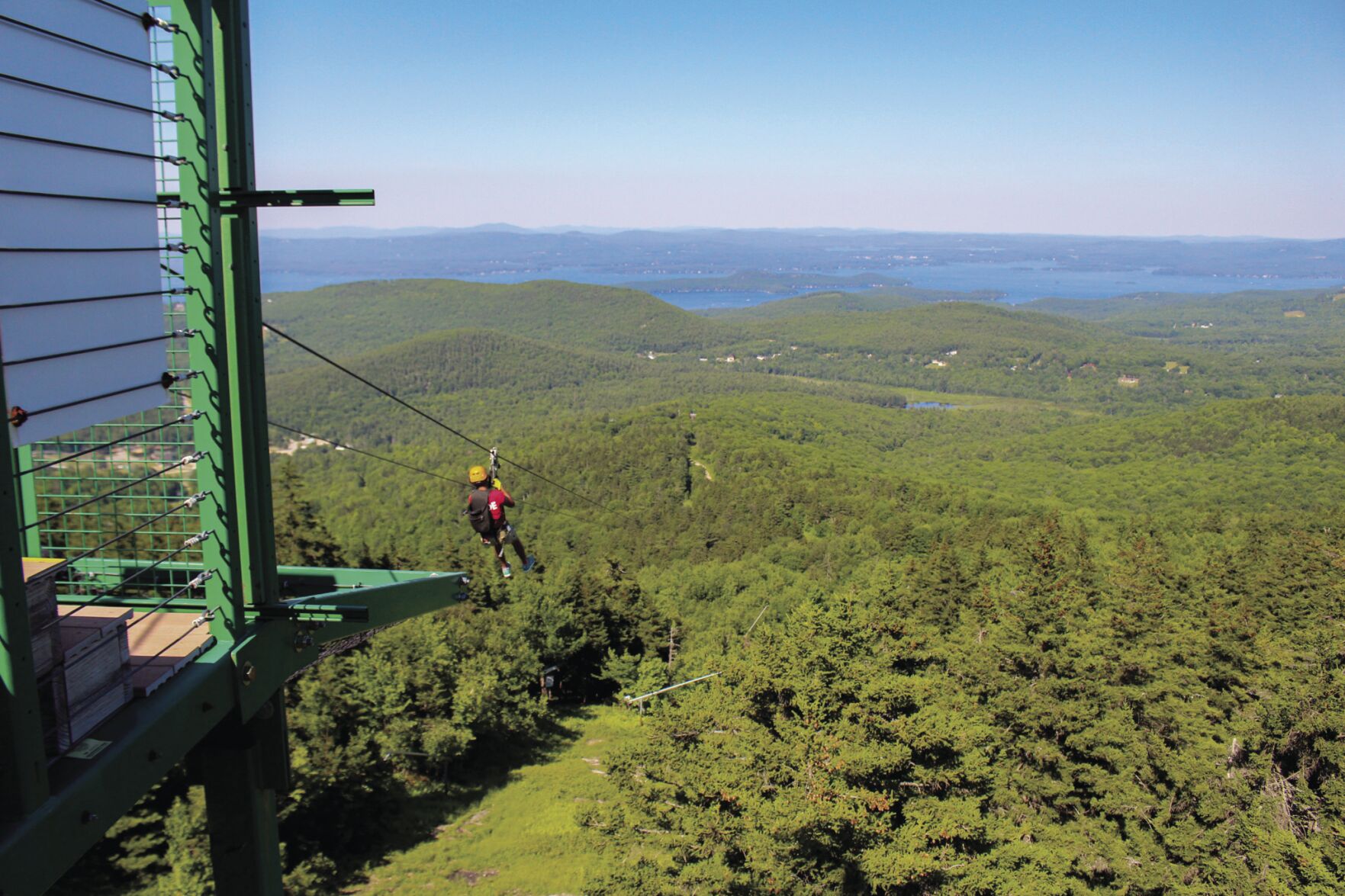 Ziplines, lions and a mansion are featured attractions at these workplaces
